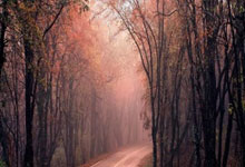 闲置域名如何变现？高价回收市场的“老宝贝”——带收录2024年前老域名全解析