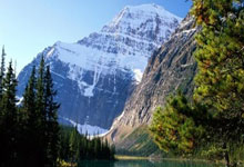 建站两年以上带收录老域名求购：闲置域名如何变现？高价回收背后的市场逻辑与实操指南