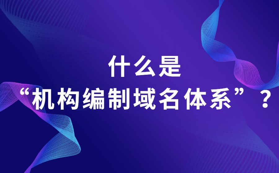 什么是“机构编制域名体系”？