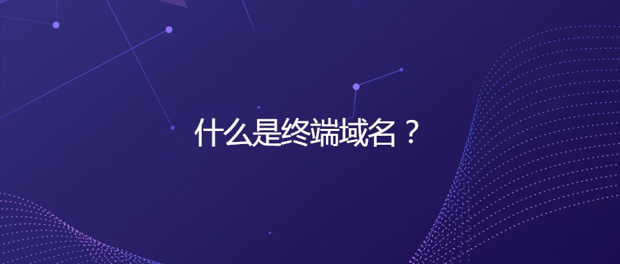 什么是终端域名？