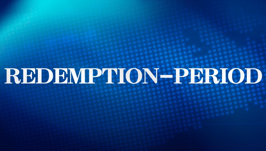 域名状态显示REDEMPTION