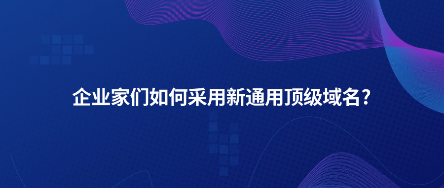 企业家们如何采用新通用顶级域名?