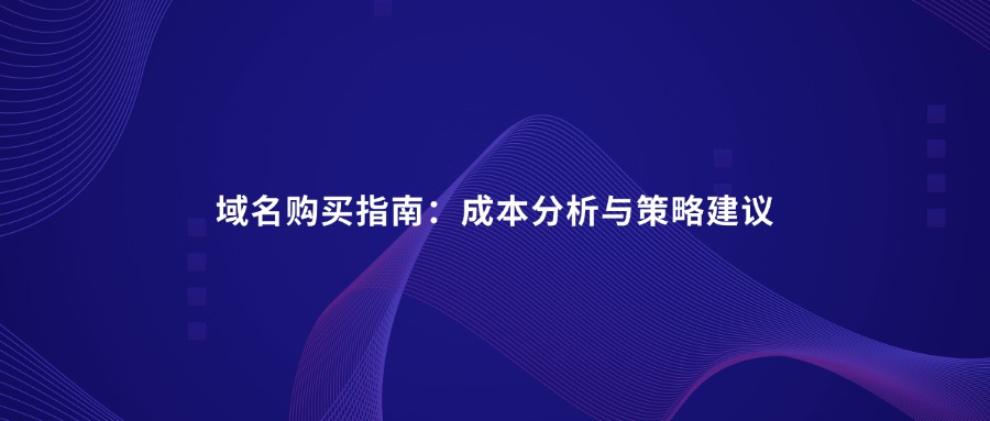 域名购买指南：成本分析与策略建议