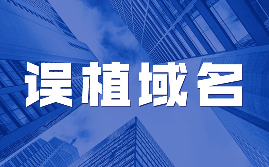 什么叫误植域名？它是如何偷取NPM凭证的？