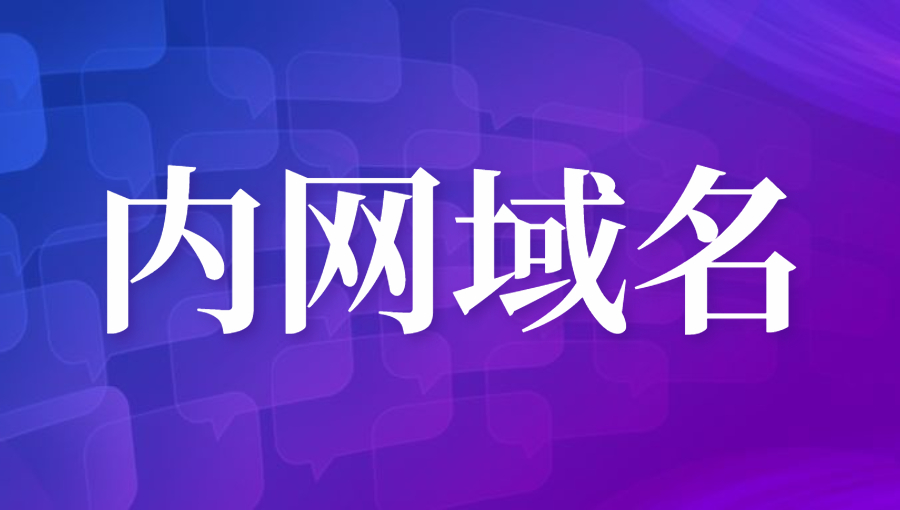 什么是“内网域名”？