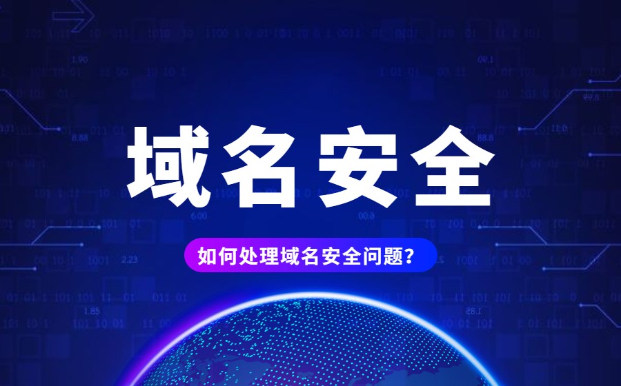 如何处理域名安全问题？