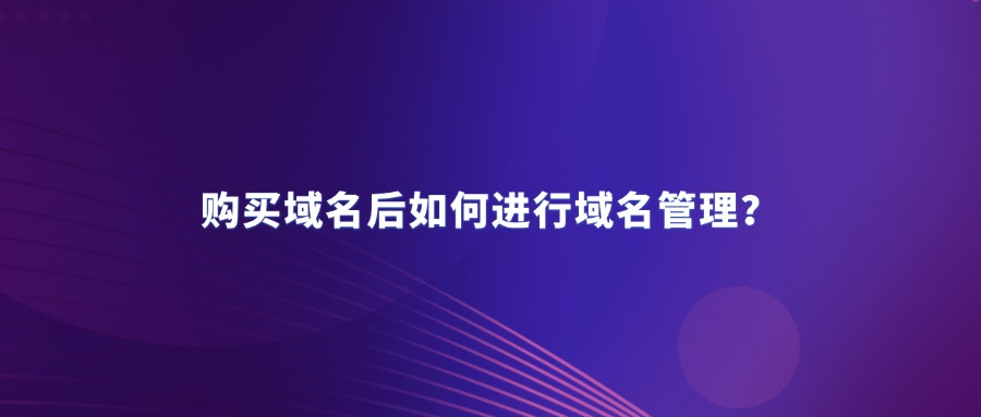 购买域名后，如何进行域名管理？