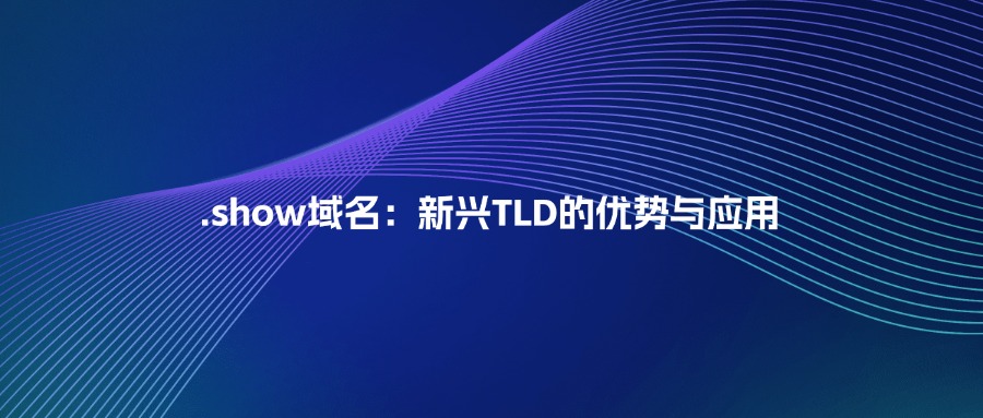 .show域名：新兴TLD的优势与应用