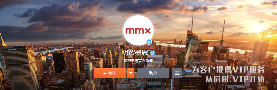 MMX（明智墨思）域名注册局介绍