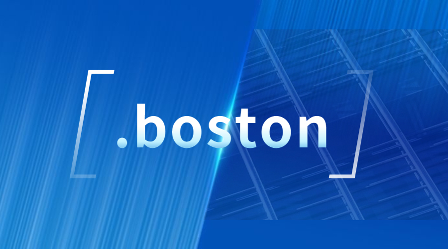 .boston域名介绍