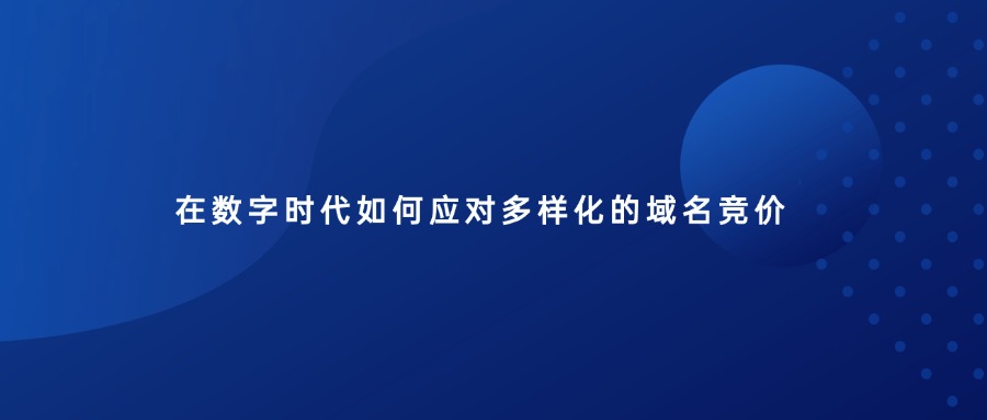 在数字时代如何应对多样化的域名竞价