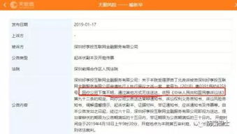 域名归属权数字公证,保障网络资产安全的重要举措