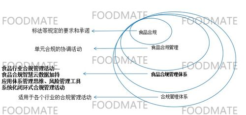 域名管理合规要点