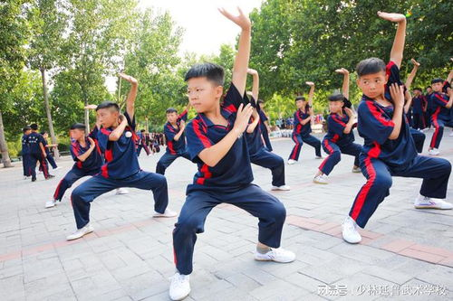 现代社会的传承与挑战