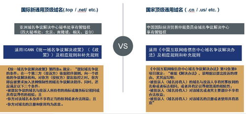 域名争议解决机制