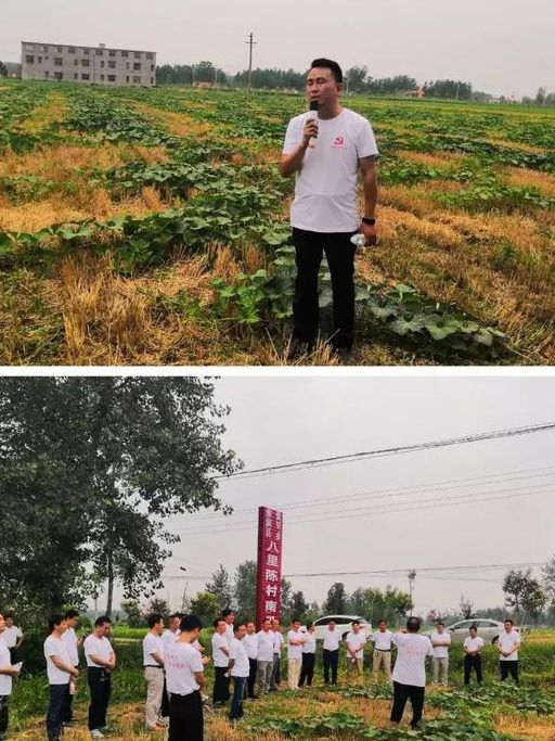 SOLAR光伏产业联盟的成立背景与使命