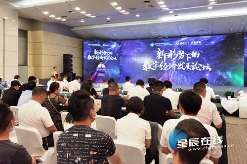 朝鲜域名接入国际互联网的现状与挑战