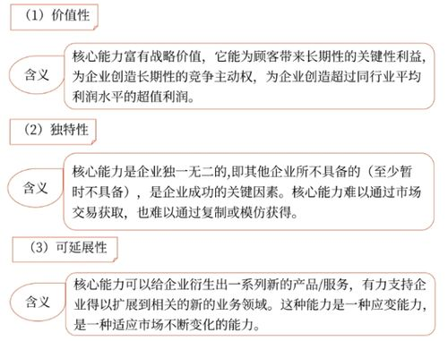 企业域名战略总监的核心能力要求