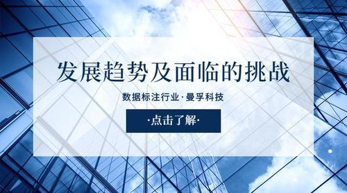 未来发展趋势与挑战