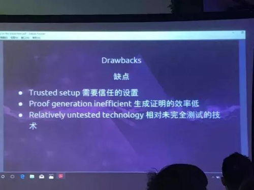 零知识证明在域名隐私保护中的具体应用
