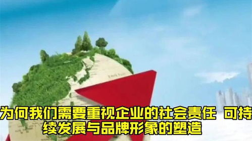 可持续发展与社会责任