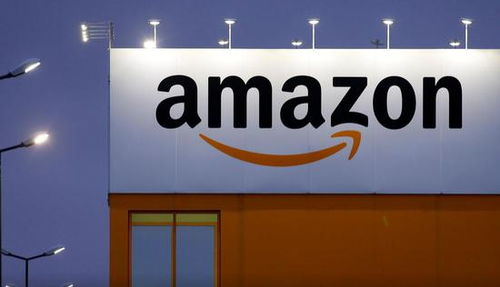 AMAZON项目的保护措施