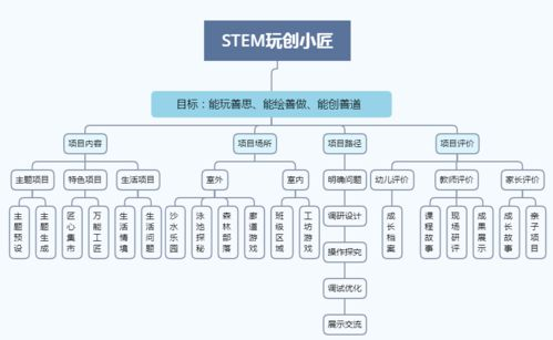 AMAZON项目的成效与挑战