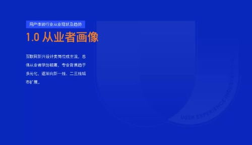 用户体验与未来发展