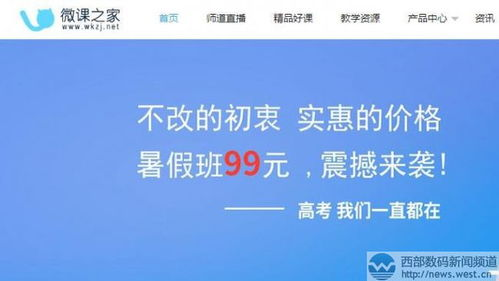 如何选择理想的BOTANIC域名