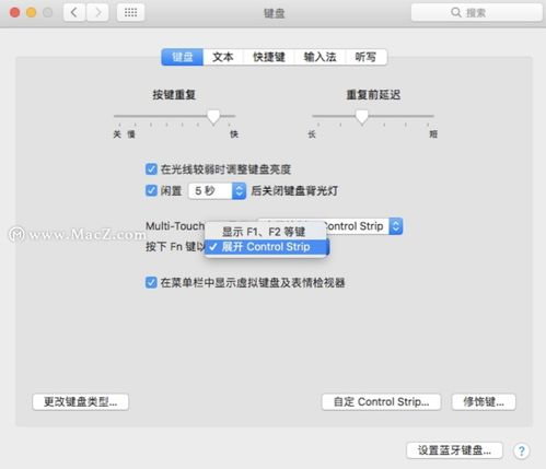.FN域名对原住民社区的影响