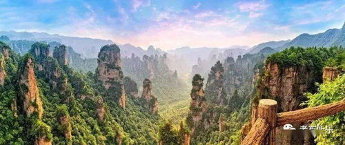 柬埔寨吴哥窟启用.ANGKOR文旅平台，开启智慧旅游新时代
