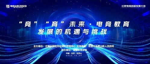 未来发展机遇与挑战