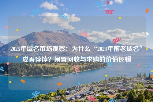 2025年域名市场观察：为什么“2024年前老域名”成香饽饽？闲置回收与求购的价值逻辑