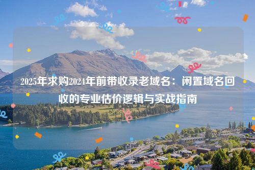 2025年求购2024年前带收录老域名：闲置域名回收的专业估价逻辑与实战指南