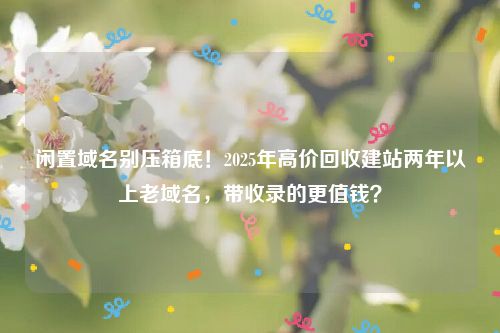闲置域名别压箱底！2025年高价回收建站两年以上老域名，带收录的更值钱？