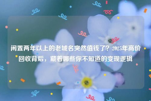 闲置两年以上的老域名突然值钱了？2025年高价回收背后，藏着哪些你不知道的变现逻辑