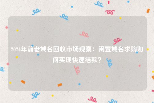 2024年前老域名回收市场观察：闲置域名求购如何实现快速结款？