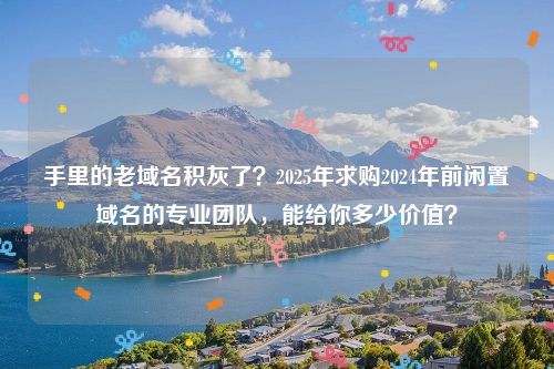 手里的老域名积灰了？2025年求购2024年前闲置域名的专业团队，能给你多少价值？