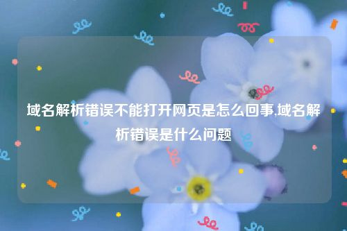 域名解析错误不能打开网页是怎么回事,域名解析错误是什么问题