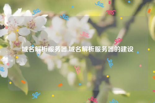 域名解析服务器,域名解析服务器的建设