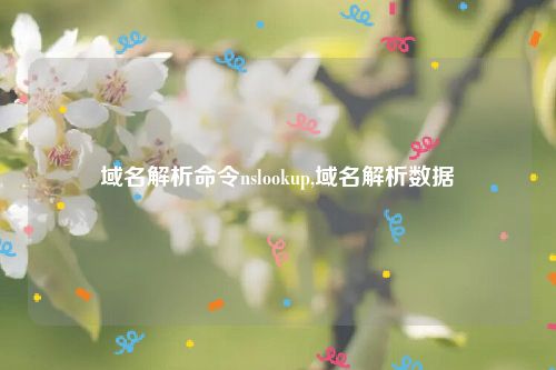域名解析命令nslookup,域名解析数据