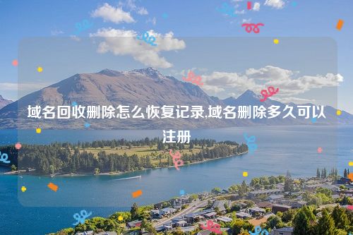 域名回收删除怎么恢复记录,域名删除多久可以注册
