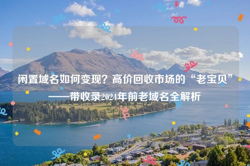 闲置域名如何变现？高价回收市场的“老宝贝”——带收录2024年前老域名全解析
