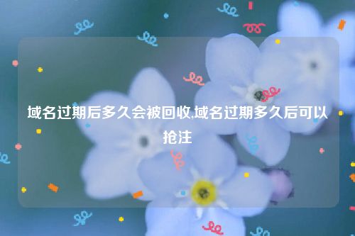 域名过期后多久会被回收,域名过期多久后可以抢注