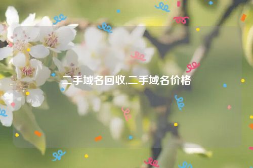 二手域名回收,二手域名价格