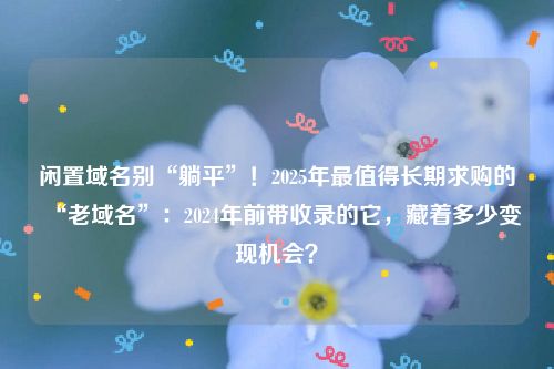 闲置域名别“躺平”！2025年最值得长期求购的“老域名”：2024年前带收录的它，藏着多少变现机会？