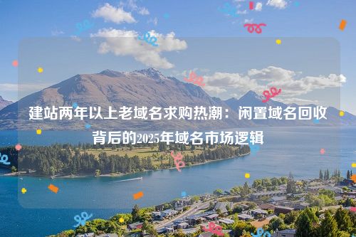 建站两年以上老域名求购热潮：闲置域名回收背后的2025年域名市场逻辑