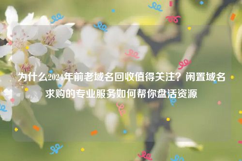 为什么2024年前老域名回收值得关注？闲置域名求购的专业服务如何帮你盘活资源