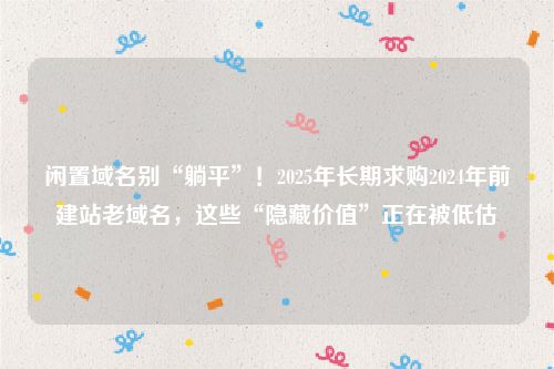 闲置域名别“躺平”！2025年长期求购2024年前建站老域名，这些“隐藏价值”正在被低估