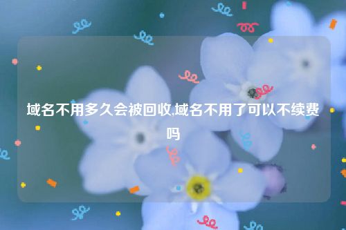域名不用多久会被回收,域名不用了可以不续费吗